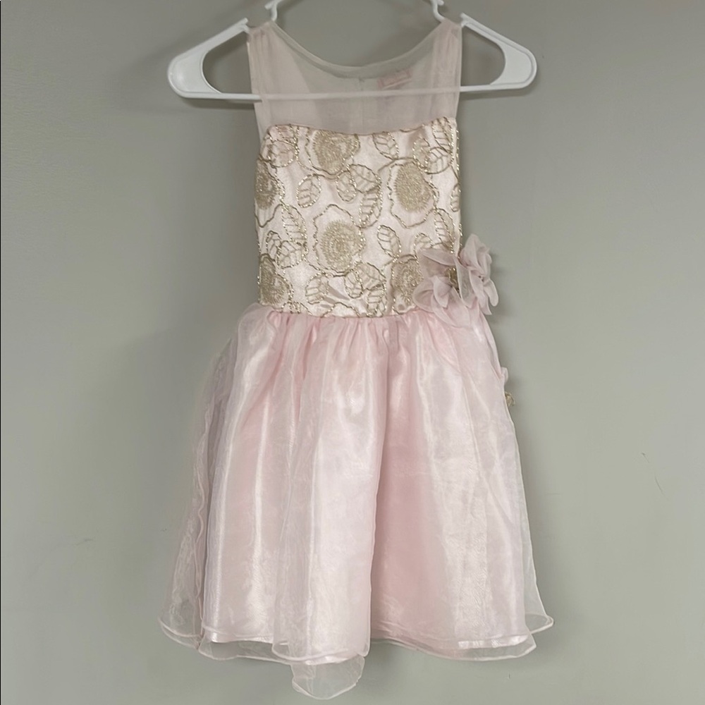 Elegant Pink and Gold Dress